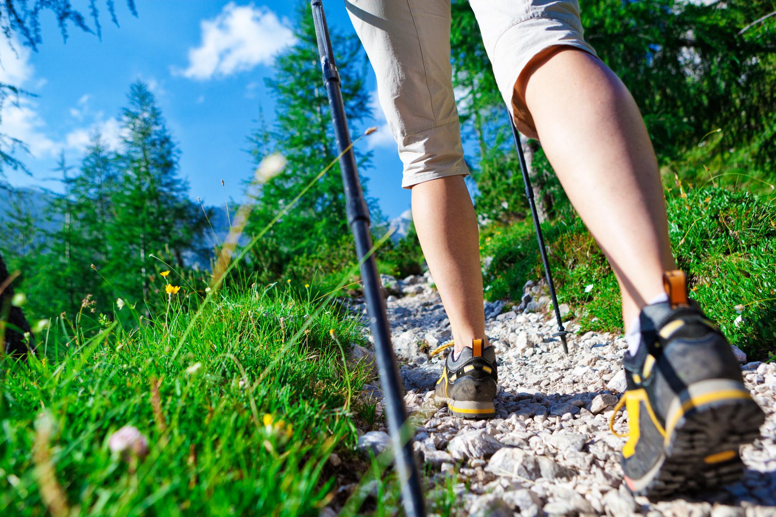 adventure trekking concept: woman's legs in motion on a mountain footpathCHECK OTHER SIMILAR IMAGES IN MY PORTFOLIO....